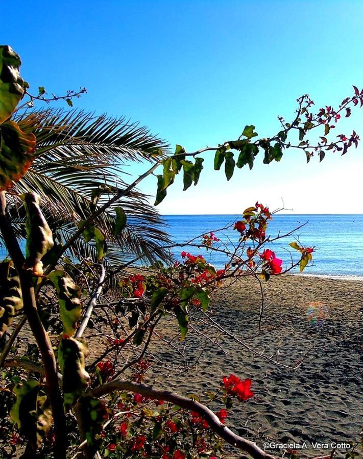 La Palmera. El Amanecer En El Parque Natural Agua Amarga  Ngoại thất bức ảnh